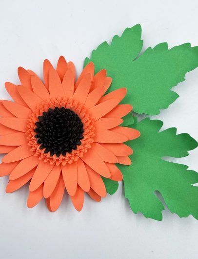 Flores e Plantas